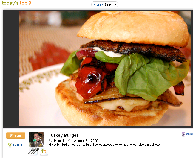 turkeyburgerfoodbuzztop91