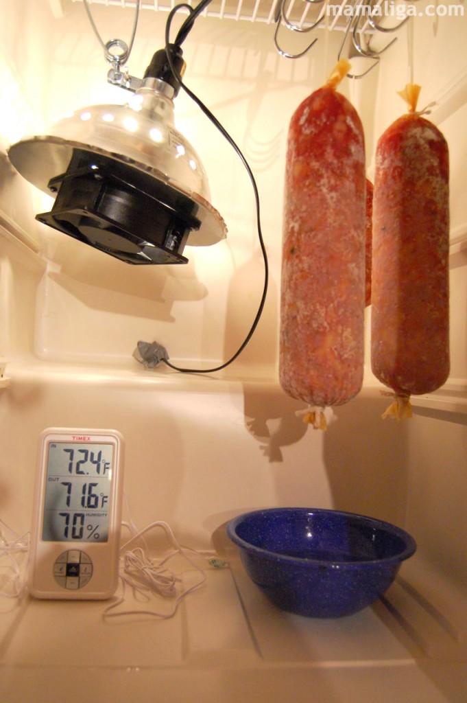 Charcuterie Fermentation And Curing Chamber Mamaliga